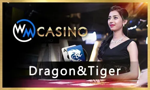 Jilicrown live casino dealer with cards